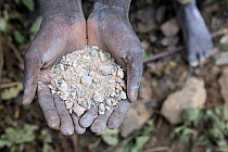 Miner with hands full of coltan metallic ore, Muhanga coltan mines, Rwanda, Africa, March 2009
