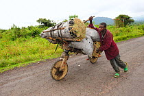 Man pushing a chukudu loaded with charcoal bags along the road from Sake to Goma, North Kivu, Democratic Republic of Congo, Africa. Chukudu is a wooden bicycle with rubber tyres that is virtually uniq...