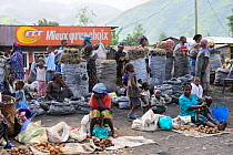 Street market in Sake with farmers selling their vegetables and charcoal bags, North Kivu, Democratic Republic of Congo, Africa, March 2009
