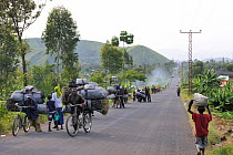 People bringing charcoal bags to the market, on the road from Sake to Goma, North Kivu, Democratic Republic of Congo, Africa, March 2009