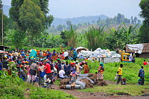 Food aid distribution by charities at Kibati village refugee camp, north of Goma, North Kivu, Democratic Republic of Congo, Africa, March 2009