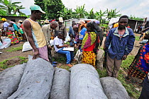 People selling charcoal next to the food aid distribution point at Kibati village refugee camp, north of Goma, North Kivu, Democratic Republic of Congo, Africa, March 2009