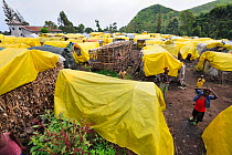 Tents of the Lac Vert refugee camp, west of Goma, North Kivu, Democratic Republic of Congo, Africa, March 2009