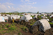 Tents of the refugee camp Mugunga 1, west of Goma, North Kivu, Democratic Republic of Congo, Africa, March 2009