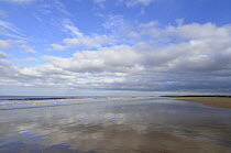 Deserted beach with clouds reflected in wet sand, Holkham, Norfolk, UK, October