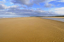Deserted beach at low tide showing ripples in sand, Holkham, Norfolk, UK, October