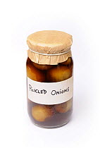 Jar of home made pickled Onions, UK