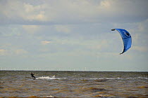 Windsurfer in North Sea with wind turbines off the Lincolnshire coast in distance, Norfolk, UK, October
