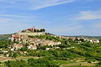 Medieval hill town of Motovun (Montona d'Istria) Croatia with Venetian colonial architecture.