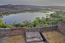 View of lakes from Ranthambore fort, Ranthambore NP, Rajasthan, India