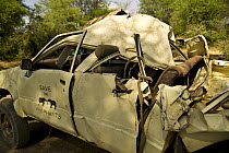 'Save the Elephants' research vehicle damaged by aggressive African elephant {Loxodonta africana} Savuti, Botswana (non-ex)