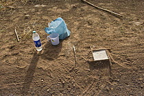 Making footprint casts during Tiger census, Ranthambore NP, Rajasthan, India (non-ex)