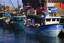 Lobster boats moored in Fraserburgh Harbour, May 2009.