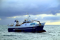 33m deep sea trawler "Harvest Hope" on the Viking Bank, North Sea, June 2009.
