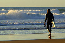 Surfer walking out to sea, Atlantic ocean, Sandymouth bay, Cornwall, UK.