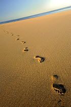 Human footprints in the sand, Sandymouth bay, Cornwall, UK