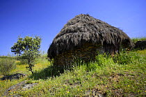 Traditional thatched hut in Villareal de San Carlos, Monfrague National Park, Caceres, Extremadura, Spain