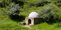 Old water well with Common Hawthorn (Crataegus monogyna) bushes in bloom in Villareal de San Carlos, Monfrague National Park, Caceres, Extremadura, Spain