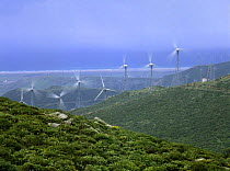 Wind turbines at a wind farm in Tarifa on the Atlantic coast, Cadiz, Andalucia, Spain, April