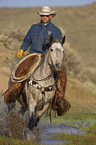 Cowboy running horse through water at Sombrero Ranch, Craig, Colorado, USA Model released