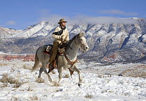 Cowboy on grey Quarter horse trotting in the snow at Flitner Ranch, Shell, Wyoming, USA Model released