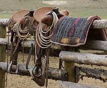 Ranch tack - saddles and riattas and pad at Sombrero Ranch, Craig, Colorado, USA