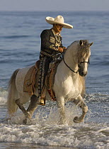 Grey purebred Andalusian stallion ridden in the sea by man in Charro attire, Summerland Beach, Ojai, California, USA Model released