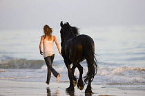 Purebred Friesian gelding and woman running along beach, Summerland Beach, Ojai, California, USA Model released