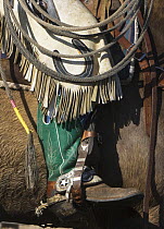 Close up of chaps and boot of cowboy, Sombrero Ranch, Craig, Colorado, USA Model released