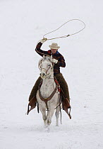 Cowboy riding in snow throwing a loop, Flitner Ranch, Shell, Wyoming, USA