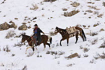 Cowboy leading pack horse in snow, Flitner Ranch, Shell, Wyoming, USA