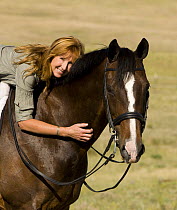 Dutch Warmblood gelding with rider, Castle Rock, Colorado, USA Model released
