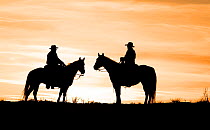 Silhouette of two cowboys at sunset, Flitner Ranch, Shell, Wyoming, USA Model released