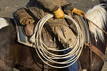 Close up of Riatta coil held by cowboy, Sombrero Ranch, Craig, Colorado, USA Model released