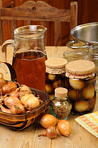 Country kitchen scene with home made jars of pickled onions and in gredients - pickling onions (Allium cepa) vinegar and pickling spice, UK, September.