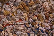 Gem stones for sale in the Atlas Mountains, Morocco, November 2008.
