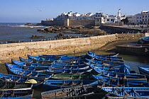 Essaouira town and medina viewed from the old fort, Morocco, November 2008.