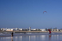 People launching kites for kitesurfing on Essaouira beach, Morocco, with Essaouira town in the background. November 2008.