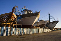 Trawlers at various stages of construction in Essaouira shipwrights yard, Morocco, November 2008.