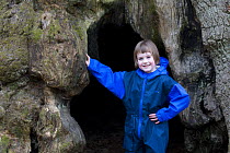 Young girl standing in the Birnam oak, Sessile oak tree (Quercus petraea) Dunkeld, Perthshire, Scotland, April. Model released
