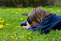 Boy taking photographs of dandelions, Palupohja Looduskool, Tartumaa, Estonia, May