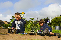 Two boys playing with soldiers in an allotment garden, Carnoustie, Angus, Scotland, September