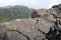 Rock slab with cracks forming a shape like a rhinoceros, above Coire an Arr, Wester Ross, Scotland, October