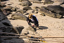 Man making stretchers for Cornish Pilot Gig "Kathrin Rose" on Town Beach, St. Mary's, Isles of Scilly. World Pilot Gig Championships, May 2009.