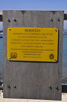 Don't feed the seagulls sign, St. Mary's, Isles of Scilly, UK. May 2009.
