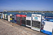 Adverts for day trips on the quay, St. Mary's. Isles of Scilly, UK. May 2009.