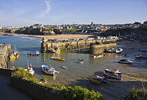 Old Harbour, Newquay, during the Cornwall County Pilot Gig Championships, September 2008.