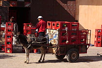 Donkey pulling cart with crates of bottles, Meknes, Morocco, March 2009