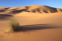 Dunes in Erg Chebbi desert, Morocco, March 2009