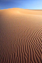 Dunes, Erg Chebbi desert, Morocco, March 2009